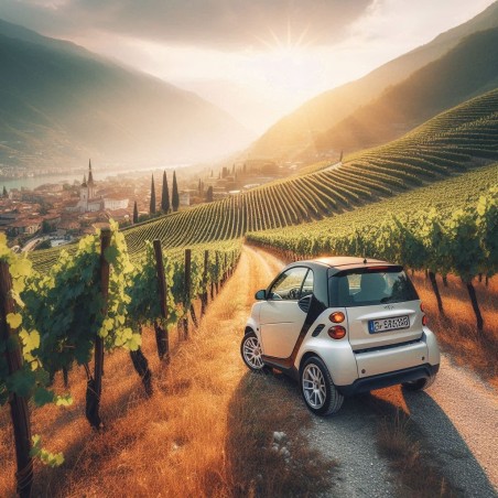 TrackDay Franciacorta (BS) by "Smart Center Bonera"